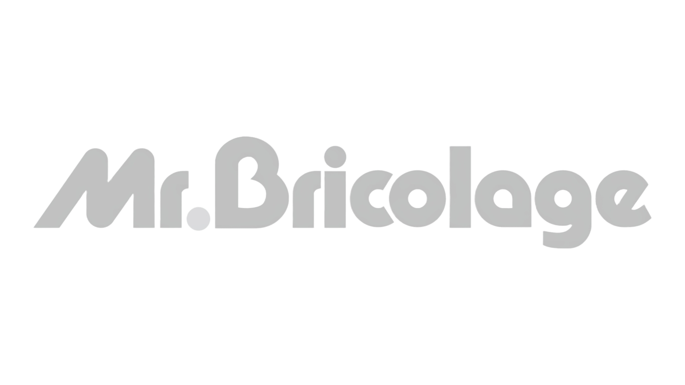 Mr. Bricolage